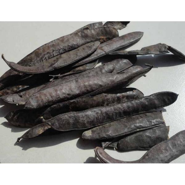 Buy Chinese Honeylocust Fruit extract / Gleditsia sinensis extract / Fructus gleditsiae extract at wholesale prices