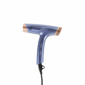 Foldable DC Motor Hair Dryer Professional Lightweight Customized