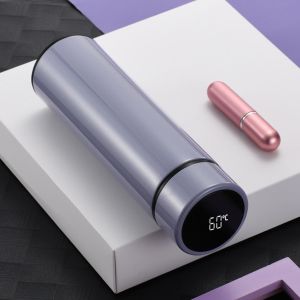 500ML Custom Smart SS304 Stainless Steel double insulated Vacuum thermo Water