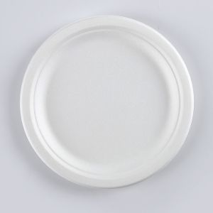Biodegradable Food Container Bagasse 6.75 inch Plates