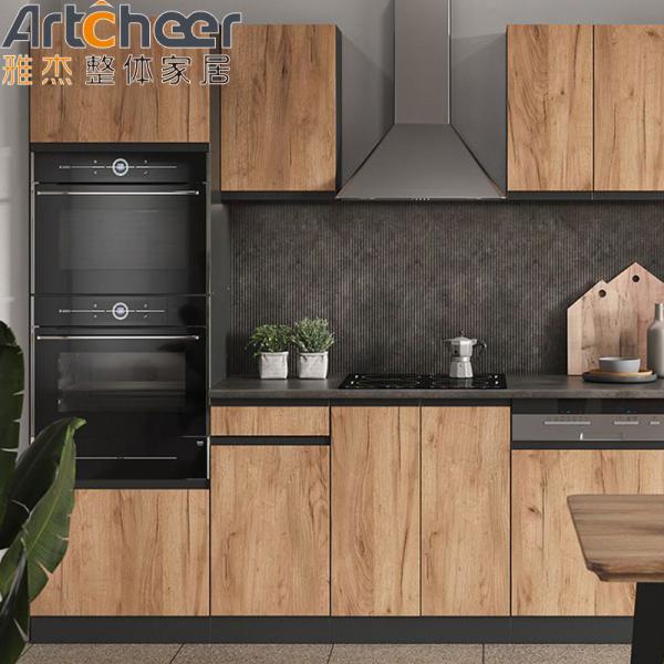Mini Kitchen Wooden Cabinet in Veneer Lacquer Finish with RTA Size and Modern Design