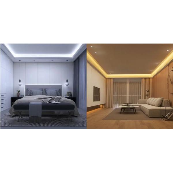 SMD 2835 CCT Tunable Flexible LED Strip 8mm 24V Dual White LED Strip Lights