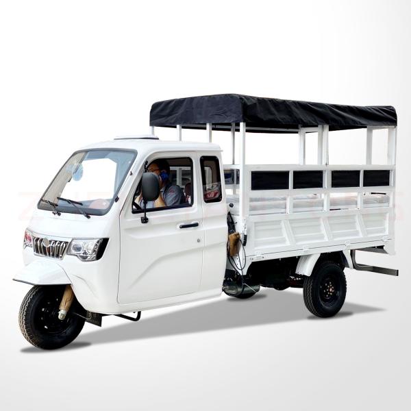 800W Semi-Cabin Motorized Cargo Tricycle with Enclosed Cabin and Plastic Cargo Cover