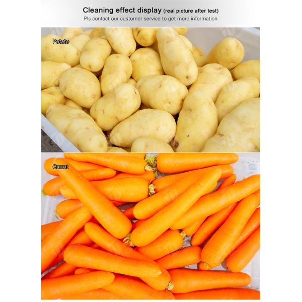 Potatoes and round tuber crops Ginger Potato Carrot Taro Sweet potato Yam Saiko persimmon papaya horseshoe macadamia nut Brush Washing and Peeling