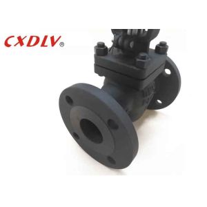 Normal Temperature Globe Valve Oil Industry Manual Operated Cast Steel Wcb