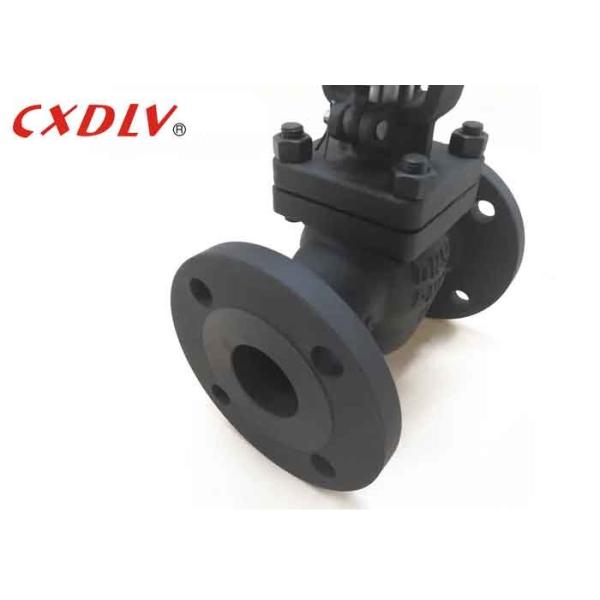 Normal Temperature Globe Valve Oil Industry Manual Operated Cast Steel Wcb