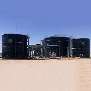 Modular Biogas Plant Biogas Production In World