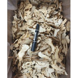 Atractylodes Macrocephala Koidz Chinese Herbs Atractylodes Bai Zhu