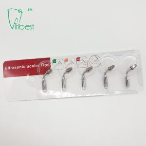 ISO13485 OEM Dental Ultrasonic Scaler Tips ED1 ED2