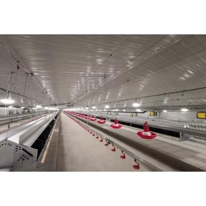 Farming Equipment Poultry Pan Feeding System Automatic Breeder Parent Chicken