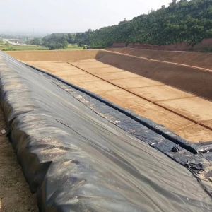 HDPE Plastic Waterproofing Anti-Seepage Geomembrane in Landfill Tailings