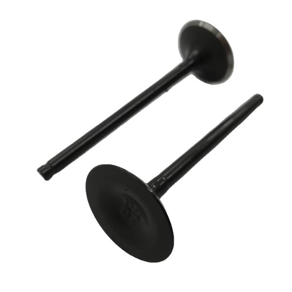 Buy Steel Made DAYANG Three Wheel Motorcycle Oil-cooled Engine Exhaust Valve For CB200-A at wholesale prices