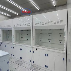 Microcomputer Control System Chemical Fume Hood Pp Ventilation Cabinet for