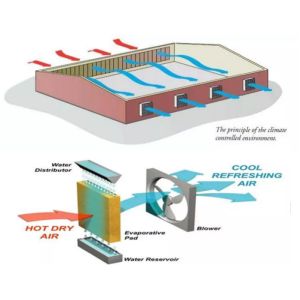 Diy Greenhouse Cooling System / Greenhouse Cooling Pad System ISO9001