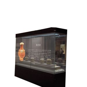 HD Interactive Transparent OLED Display 30in Transparent Digital Signage