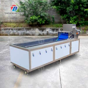 Leaves Leafy vegetables Cabbage varieties Herbs Fruiting vegetables Vegetables