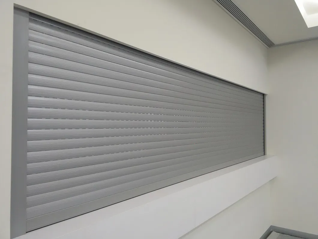 Punched &amp; Extruded Aluminum Roller/Rolling Shutter Door