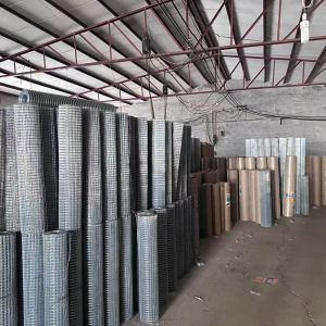 Galvanized 14 Gauge Welded Wire Rolls Balanced Flexibility & Rigidity