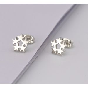 Customized Earring Surgical Stainless Steel Titanium Silver Gold Black Plated