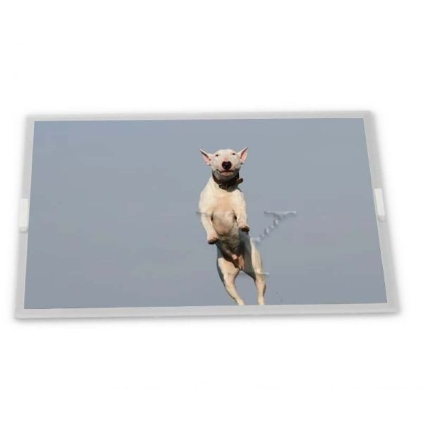 Buy LM238WR2-SLC1 23.8 TFT LCD Display Modules supplier lcd panel supplier lcd panel orginal highly adaptive at wholesale prices