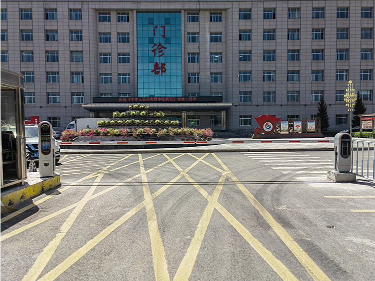 AC220V LPR Parking Solutions Algorithm System Turnstile With Toll Barrier