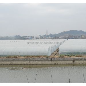 150Micron Single Span Greenhouse Customizable Plastic Film Greenhouse