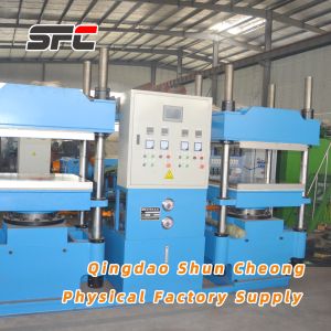 Rubber Duplex Curing Press with Customizable, Rubber Mat Hidraulic press
