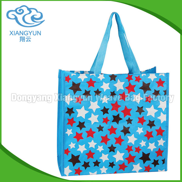 Merchandise Non Woven Pp Woven Shopping Bags With Logos Laminated
