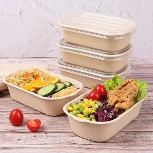 Compostable Takeout Disposable Food Containers Bagasse Lunch Box With Lid