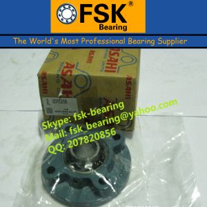 NSK Pillow Block Bearings with Housing UCP208 with Cheap Price