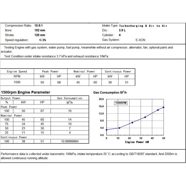 Factory Supply Cummins 45KW Natural Gas Engine
