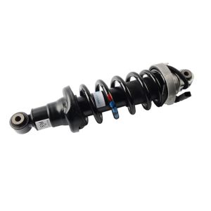 420512019AL Rear Air suspension Shock Absorber For Audi R8 Air strut Rear Left