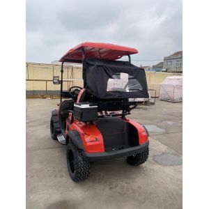 Enhanced Visibility 2 Seater Golf Cart With Striking LED Lights