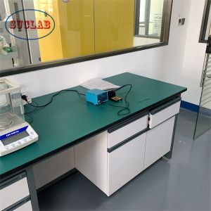 Professional Installation Chemistry Laboratory Furniture Lab Workstation With