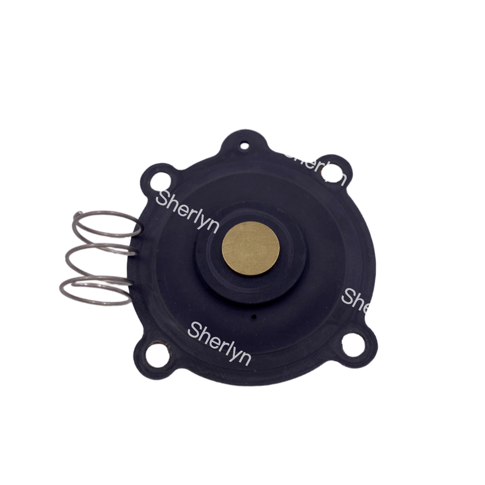 ASCO C131606 Diaphragm Repair Kit Suitable for SCE238D004 SCE238D009 Water Valve