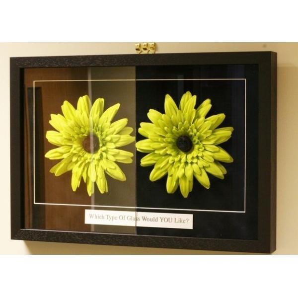 Buy 10mm Clear Bronze Solar Reflective Glass Tinted Coated at wholesale prices