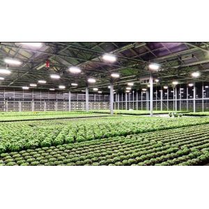 Full Cycle Growing 660nm IP65 Vegetable LED Grow Lights