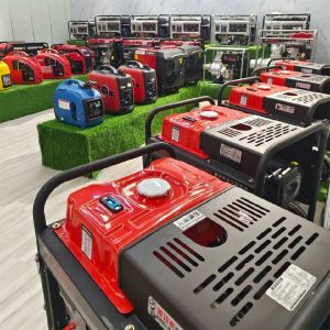 CE ISO Standard Custom Power Small Water Cooled Diesel Generator for Home