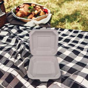 Simplicity Style Biodegradable Disposable Food Container Square Plastic Lunch