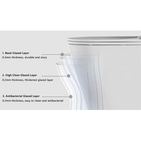 Bowl One Piece Water Closet Jet Siphonic Flushing Compact Elongated Toilet