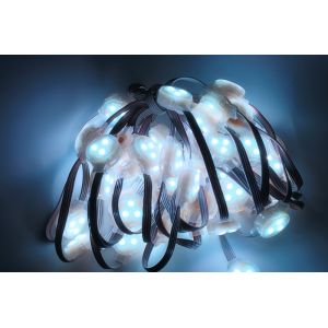 Quality Miracle Bean 0.8W 12V IP65 30MM LED Pixel string for sale