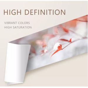 Golden Mark 5 inch 127mm 50m 240g Waterproof RC Glossy dx100 Roll Inkjet Photo