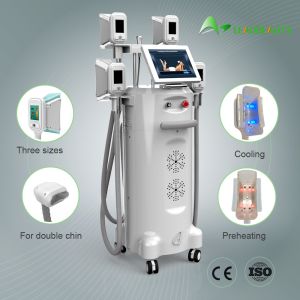 2018 Newest Cryolipo Beauty Salon Equipment / Fat Freezing Beauty Salon