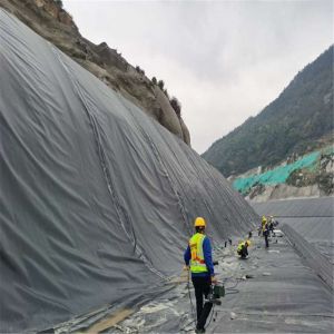 2mm HDPE Geomembrane for Pond Liner in Hydroponic Pools and Farm Dam Width 1m-8m