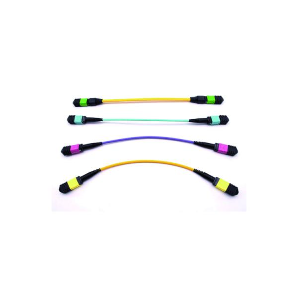 24 Core MPO To MPO Fiber Cable 40 Gb Multimode Fiber Optic Patch Cord