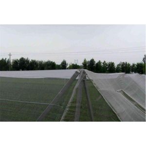 250 Meters 100% HDPE Insect Mesh Netting For Vegetable Greenhouse Agricultural