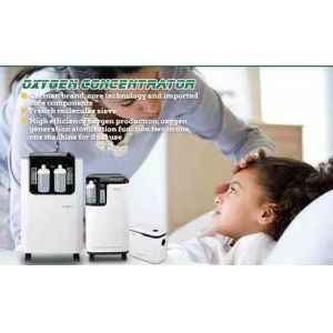 Household 96% High Purity Oxygen Generator , Medical Electric 3 LPM Oxygen
