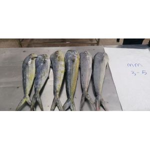 IQF Frozen Mahi Mahi