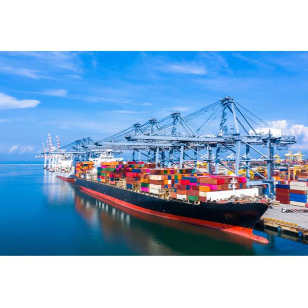 Buy DDP Sea Freight Cargo Ship From China To Australia at wholesale prices