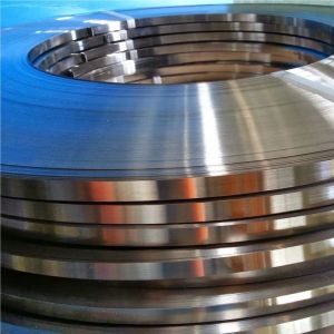 SS410 420 Cold Rolled Stainless Strip Coil Mirror 316 316L ISO9001 202 301 600mm